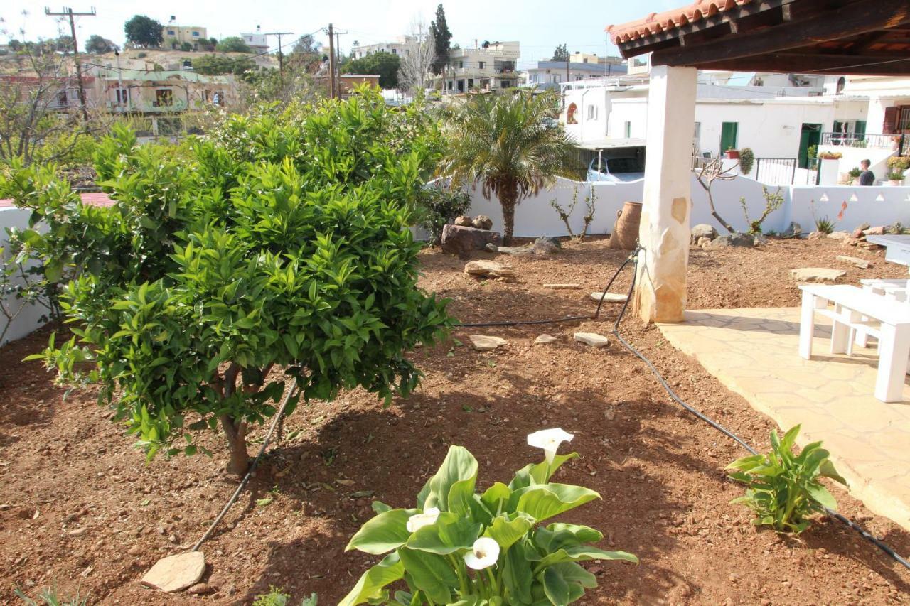 Olympias Studio Pitsidia Exterior foto